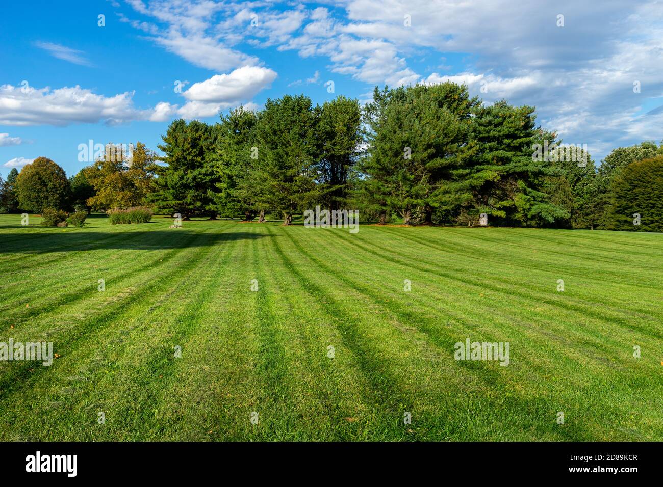 Large mowed grass area by trees in a park Stock Photo