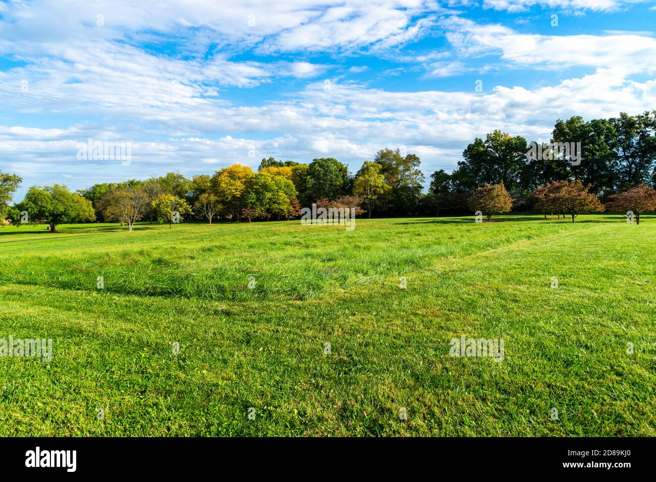 large grass area by a row of trees Stock Photo
