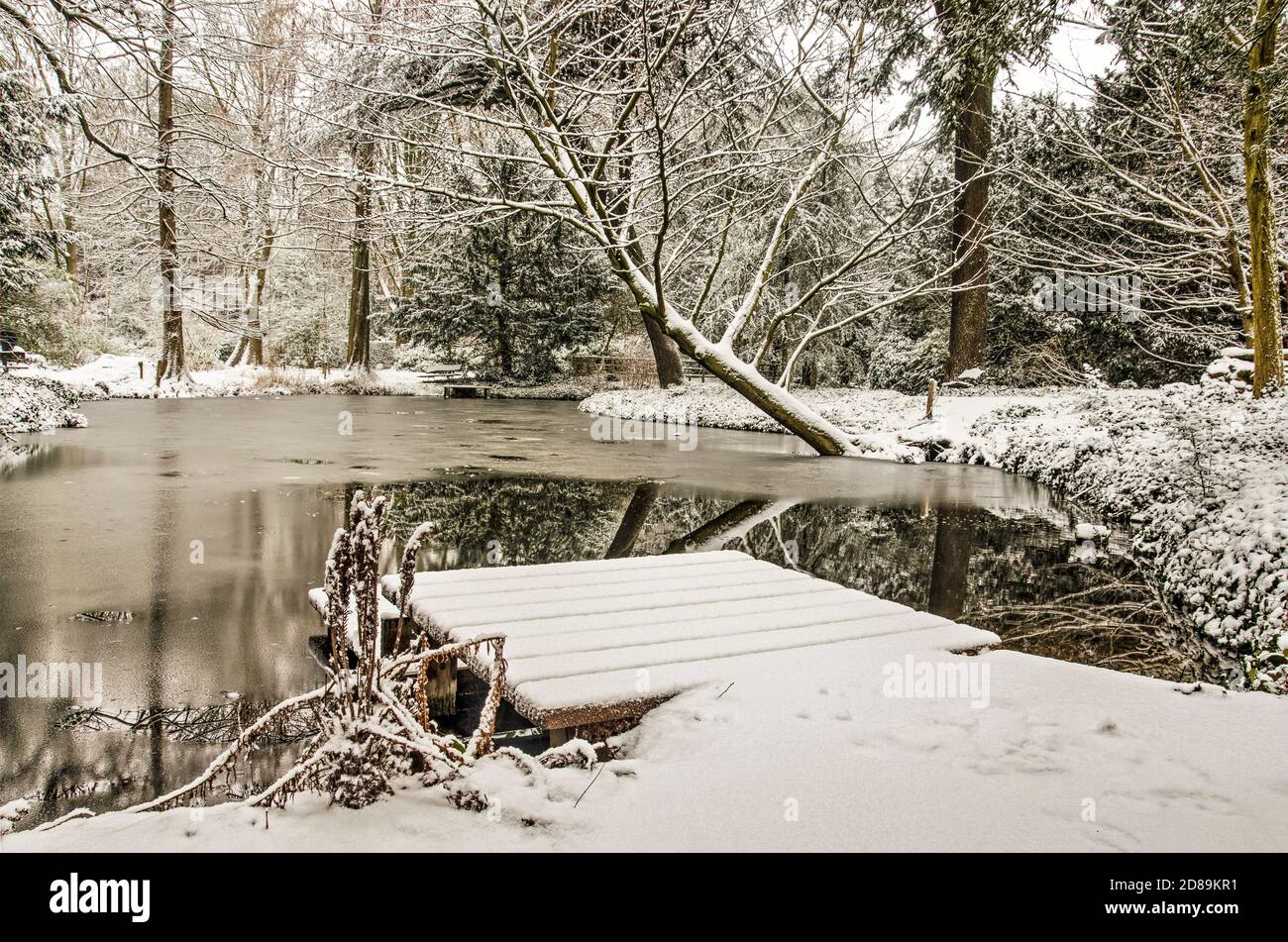 Rotterdam, The Netherlands, January 22, 2020: tranquil winter scene around a pond in Schoonoord Park Stock Photo
