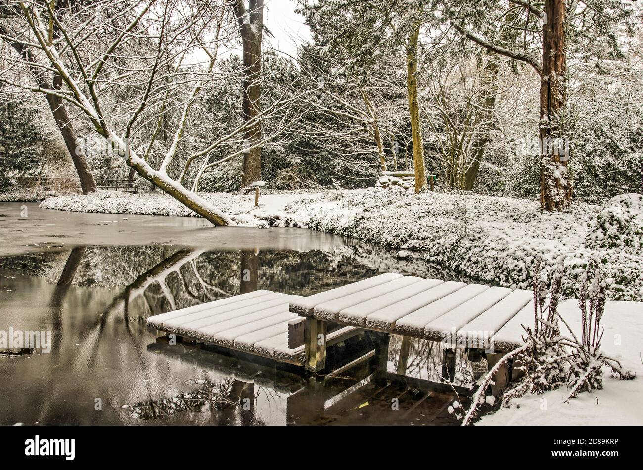Rotterdam, The Netherlands, January 22, 2020: small jetty in a pond in Schoonoord park on a winter day after fresh snowfall Stock Photo