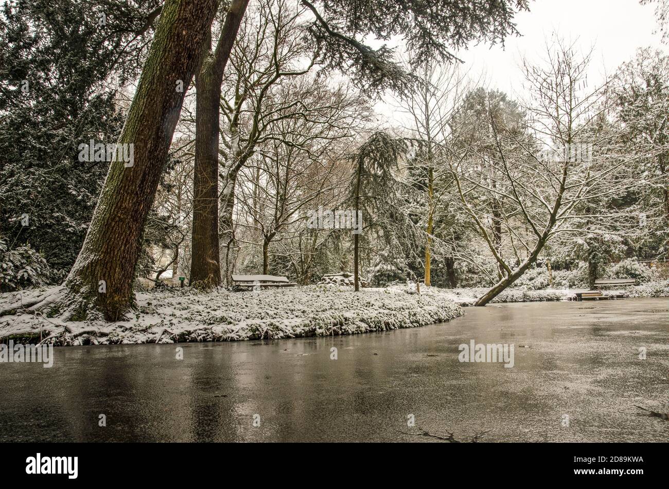 Rotterdam, The Netherlands, January 22, 2020: winter scene in Schoonoord Park, with snow-covered trres and bushes reflecting in a frozen pond Stock Photo