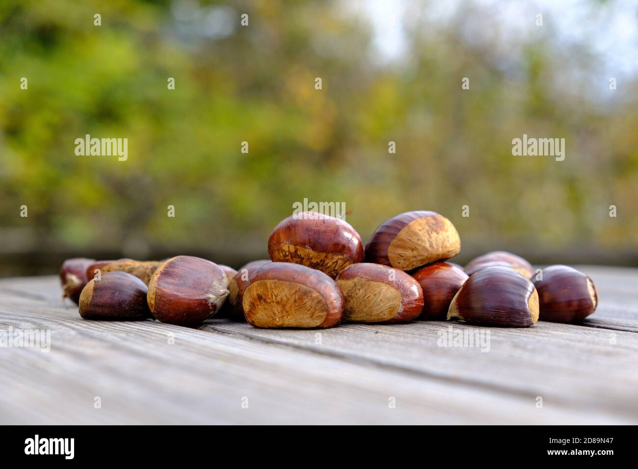 Chestnuts on a wooden table outdoor Stock Photo