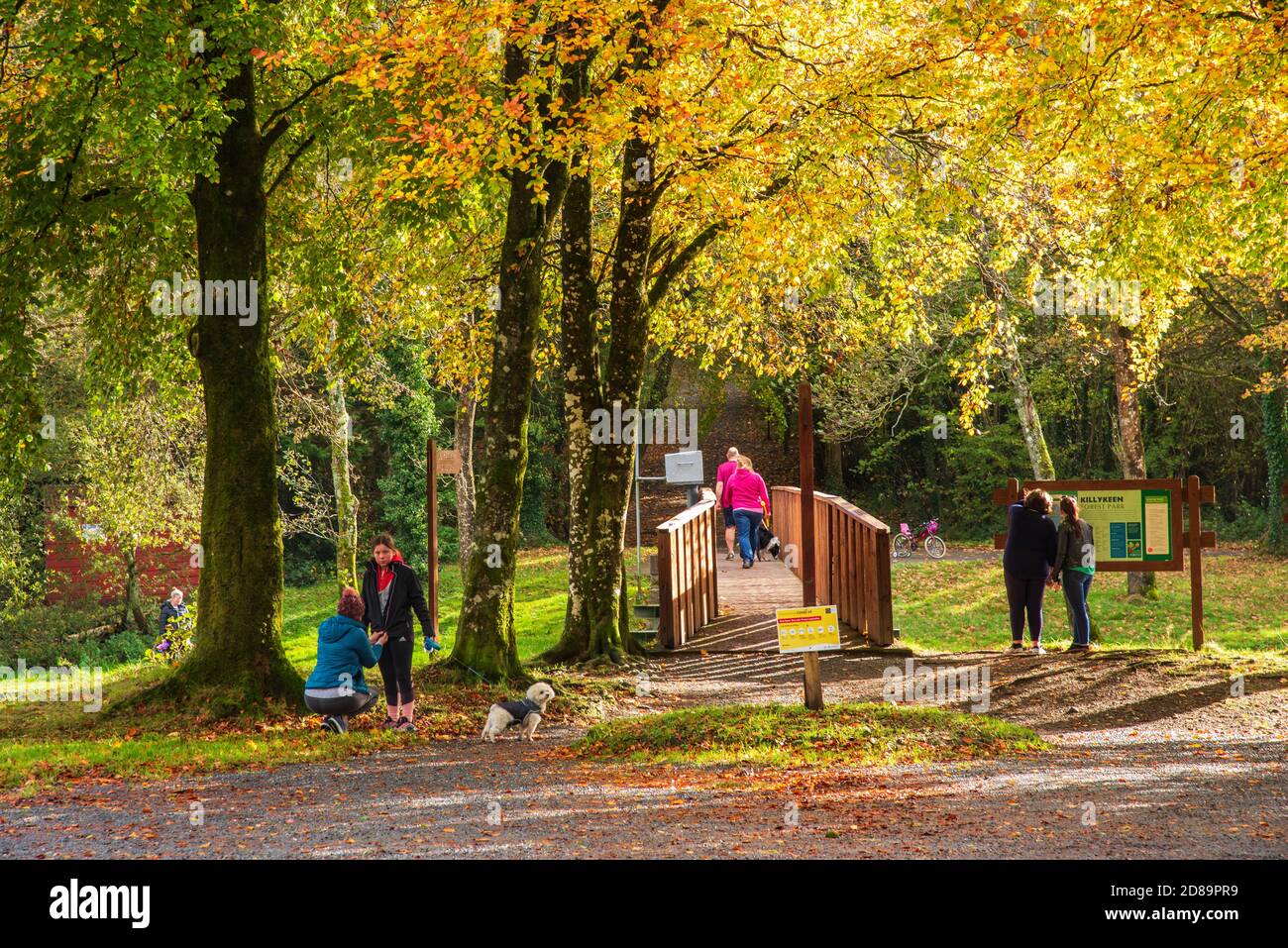 Killykeen forest park hires stock photography and images Alamy