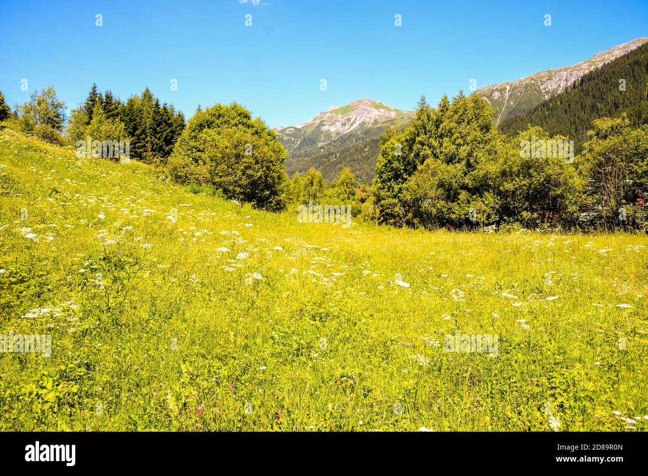 Panorama view of Alps peaks background Stock Photo - Alamy