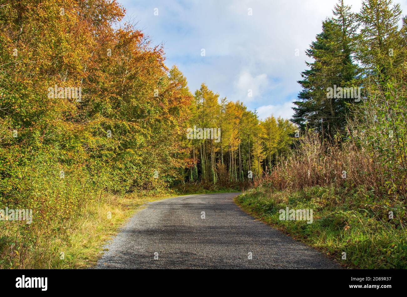 Killykeen forest park hires stock photography and images Alamy