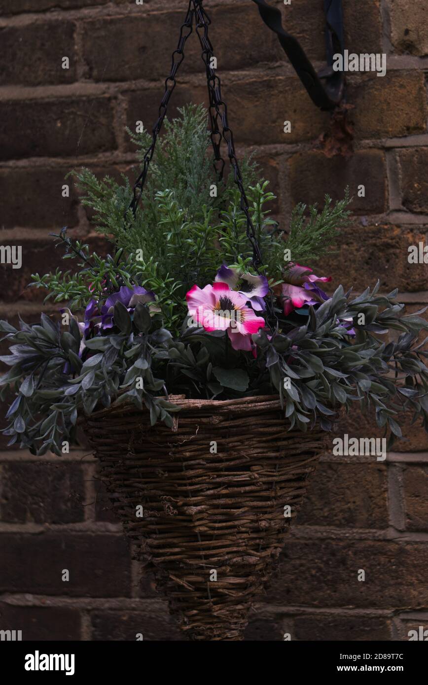 Hanging Basket Flowers Stock Photo