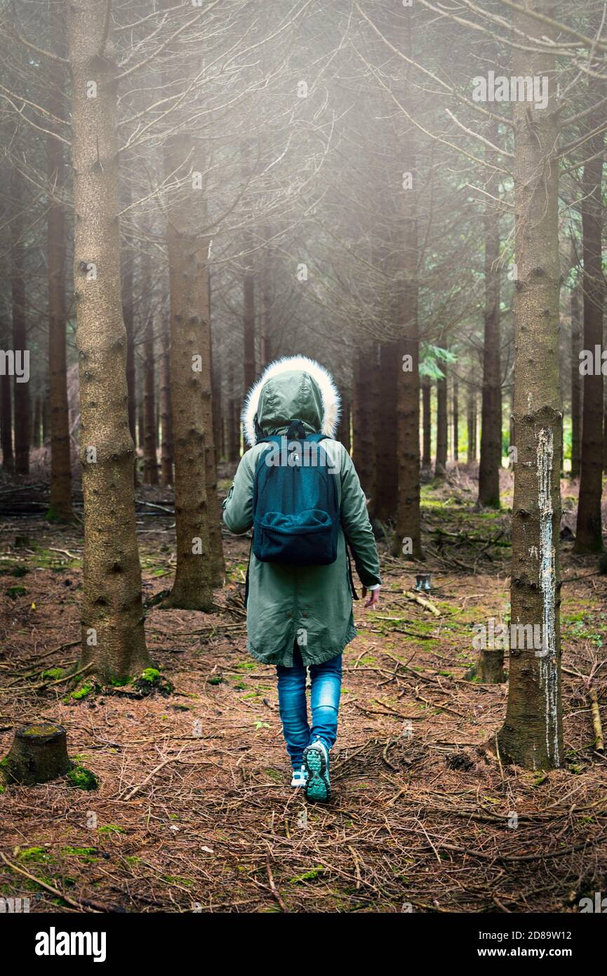 Woman trekking through forest hi-res stock photography and images - Alamy