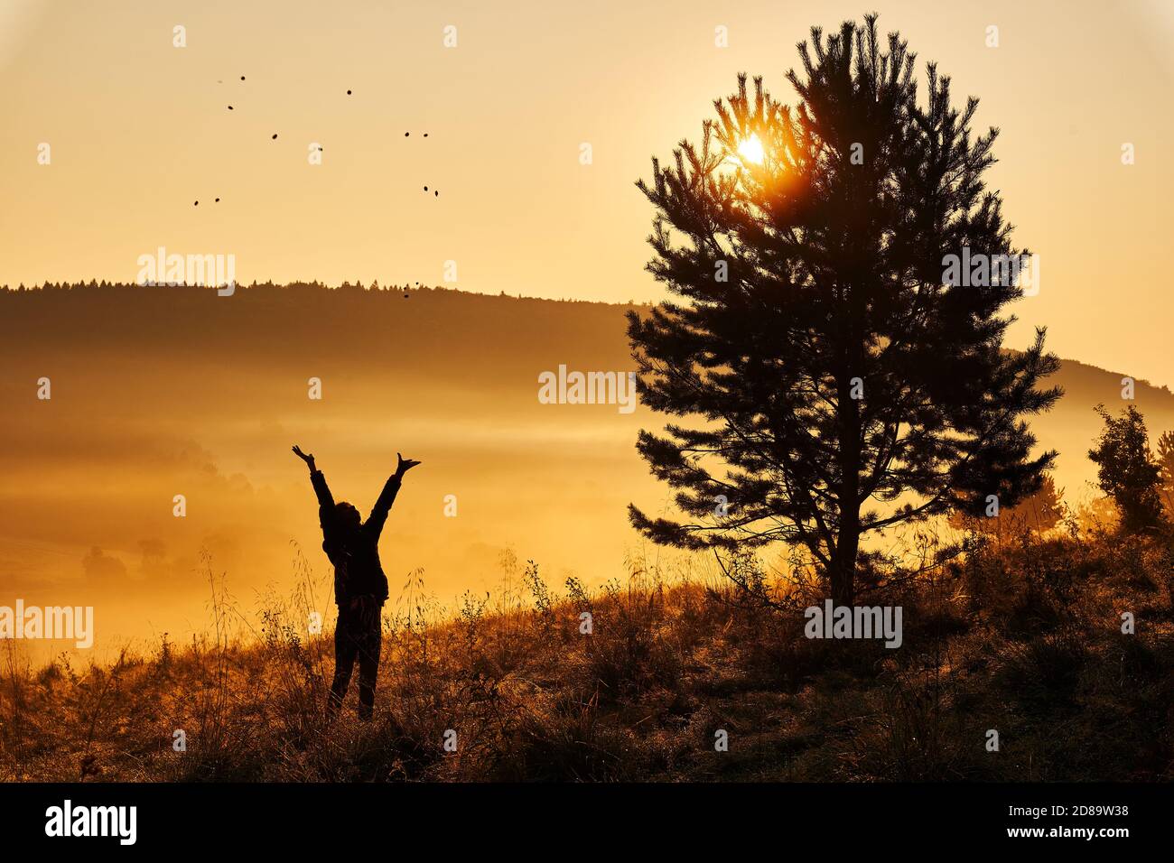 Foggy morning in the hills. The silhouette of a girl happily tossing flowers in the air. Beautiful golden sunrise. Stock Photo