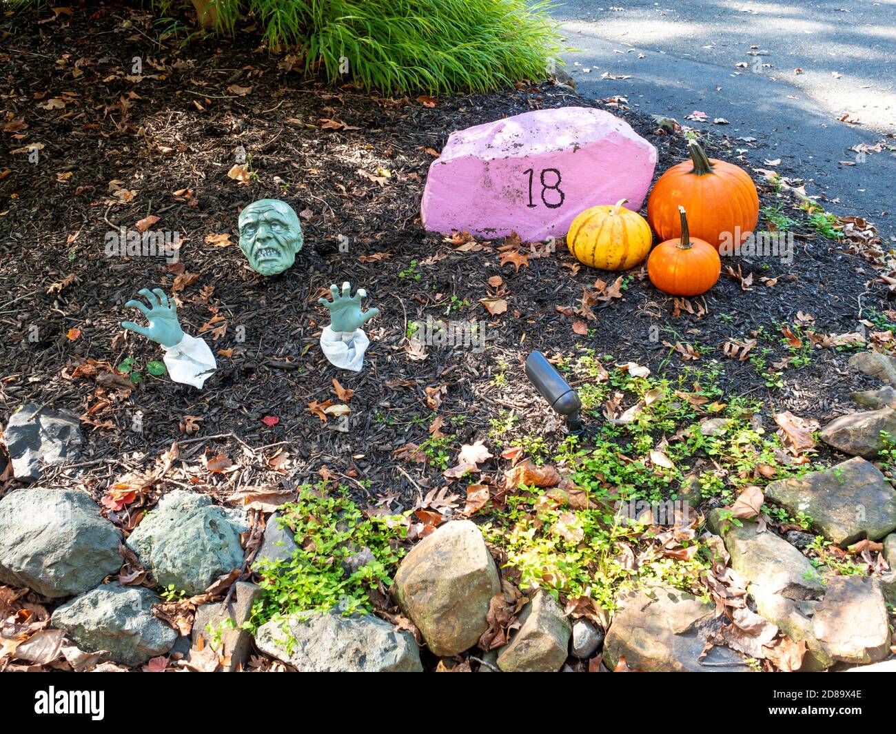 orange pumpkins and frightening Halloween character used as decoration outdoor Stock Photo