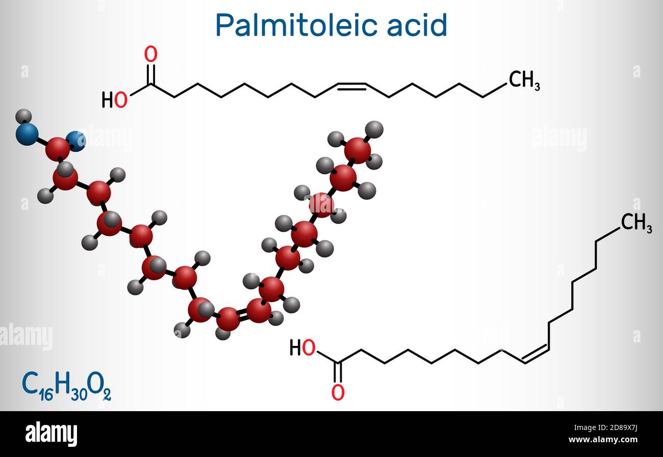 Palmitoleic acid, palmitoleate molecule. It is an omega-7 monounsaturated  fatty acid. Structural chemical formula on the dark blue background. Vector  Stock Vector Image & Art - Alamy