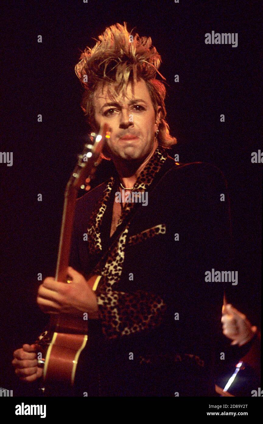Stray cats band hi-res stock photography and images - Alamy