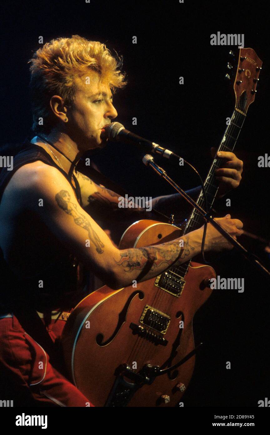 Stray cats band hi-res stock photography and images - Alamy