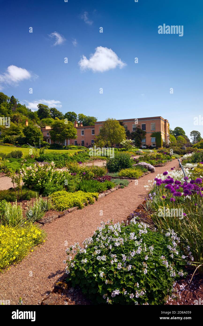 The colourful herbaceous borders at Killerton House, nr Exeter, Devon, England, UK Stock Photo