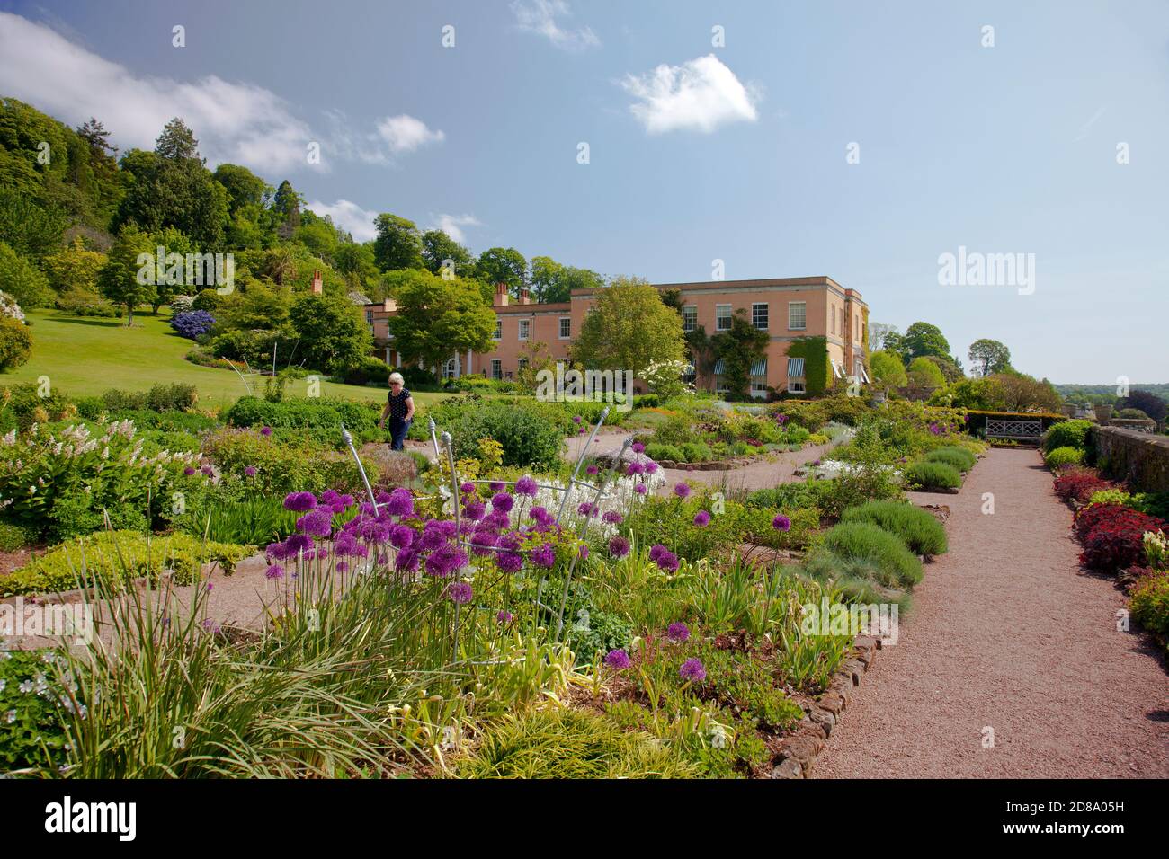 The colourful herbaceous borders at Killerton House, nr Exeter, Devon, England, UK Stock Photo