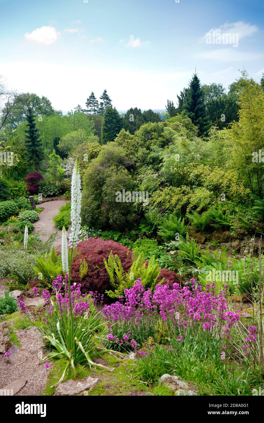 The 'rock garden' at Killerton House, nr Exeter, Devon, England, UK Stock Photo