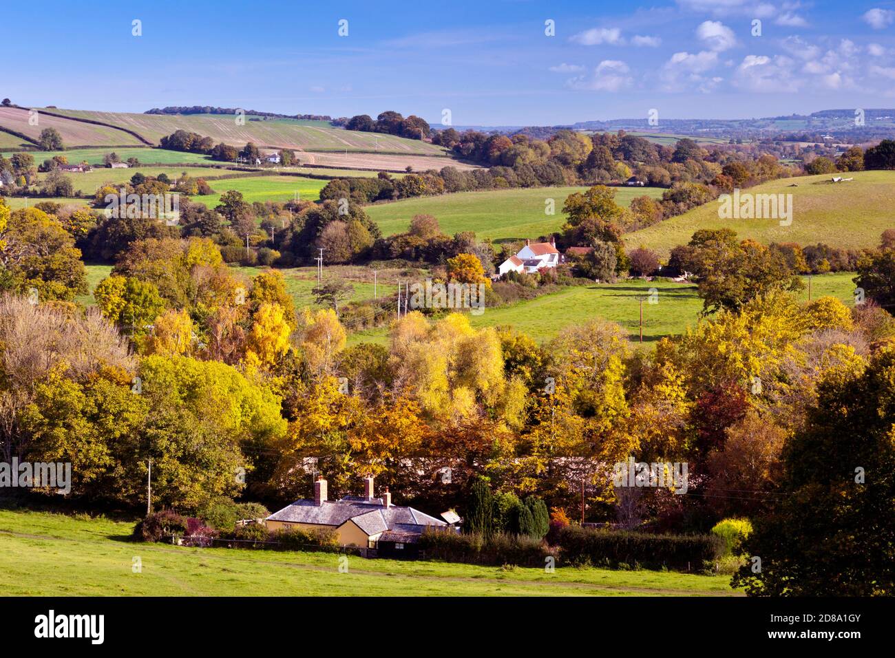 Autumn colour in the Culm Valley from the grounds of Killerton House, nr Exeter, Devon, England, UK Stock Photo