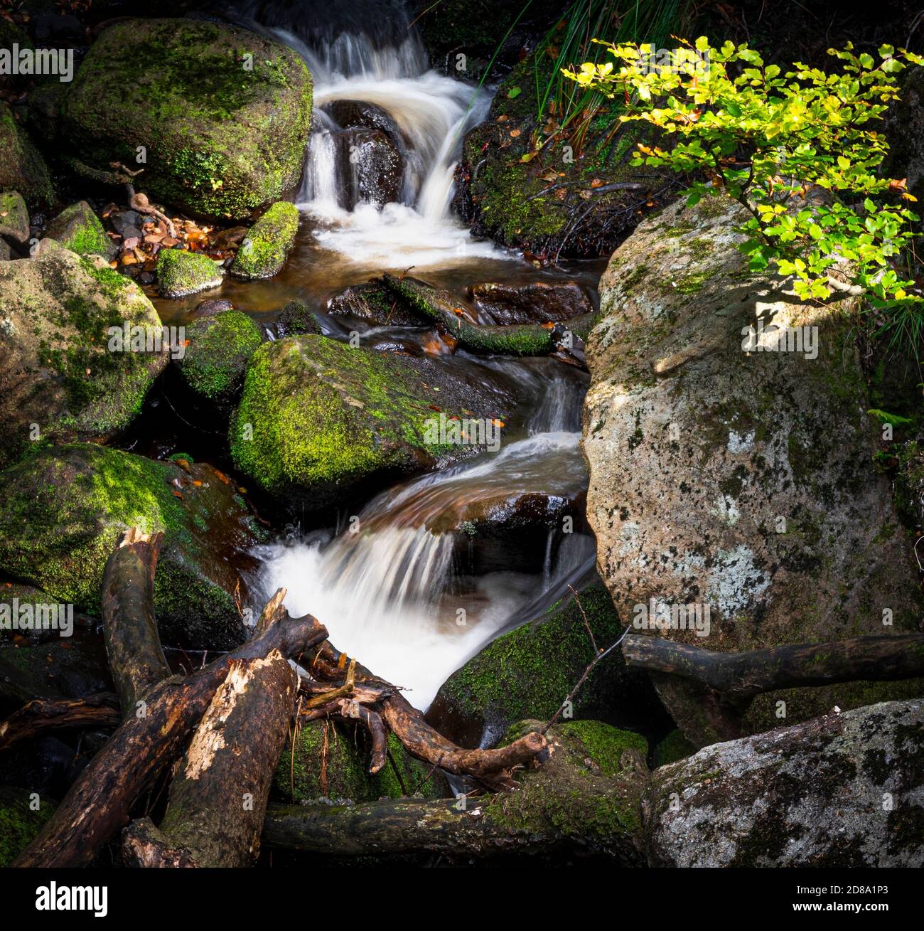 Waterfalls Padley Gorge Peak District Derbyshire England,UK Stock Photo
