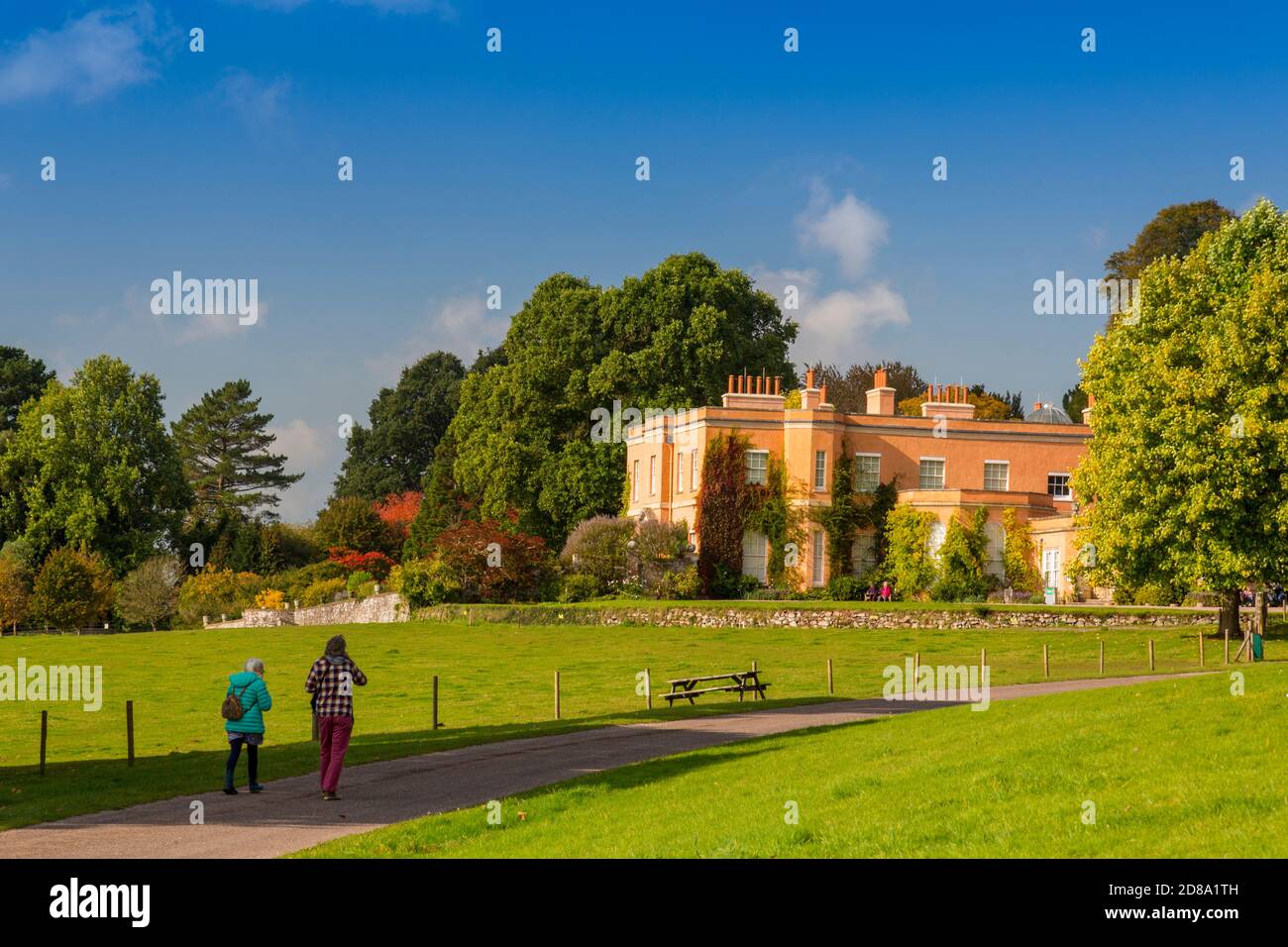 Autumn tints and sunshine on the approach to Killerton House, nr Exeter, Devon, England, UK Stock Photo