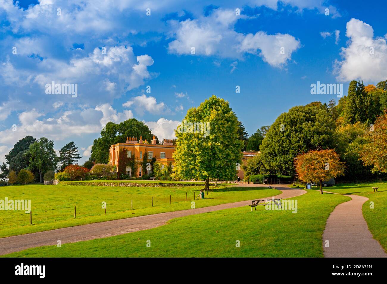 Autumn tints and sunshine on the approach to Killerton House, nr Exeter, Devon, England, UK Stock Photo