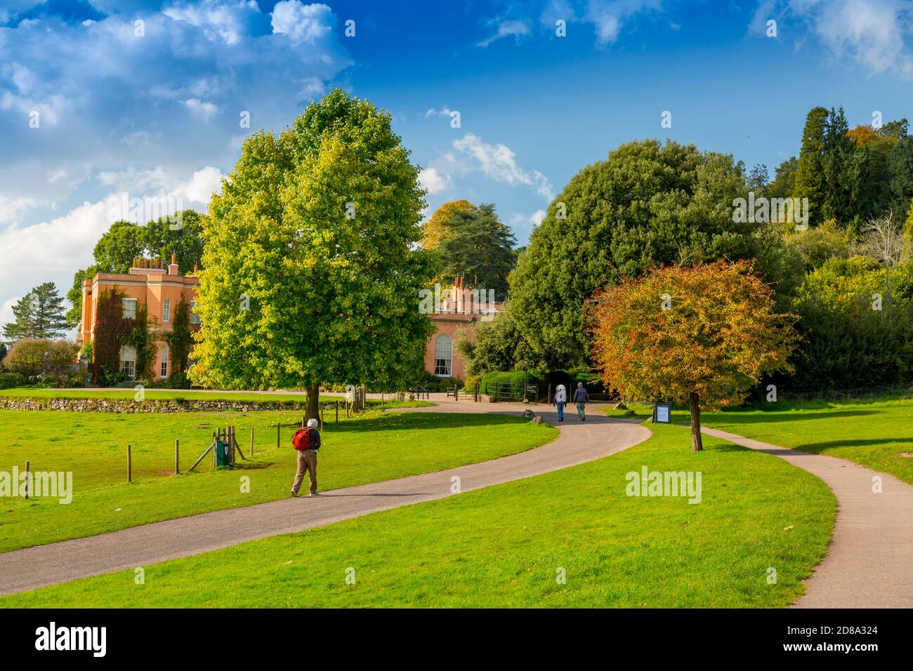 Autumn tints and sunshine on the approach to Killerton House, nr Exeter, Devon, England, UK Stock Photo