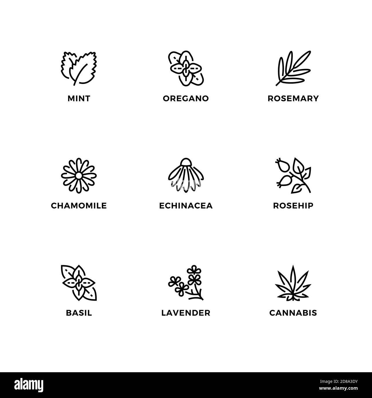 Vector set of design elements, logo design template, icons and badges for nature herbs. Line icon set, editable stroke. Stock Vector