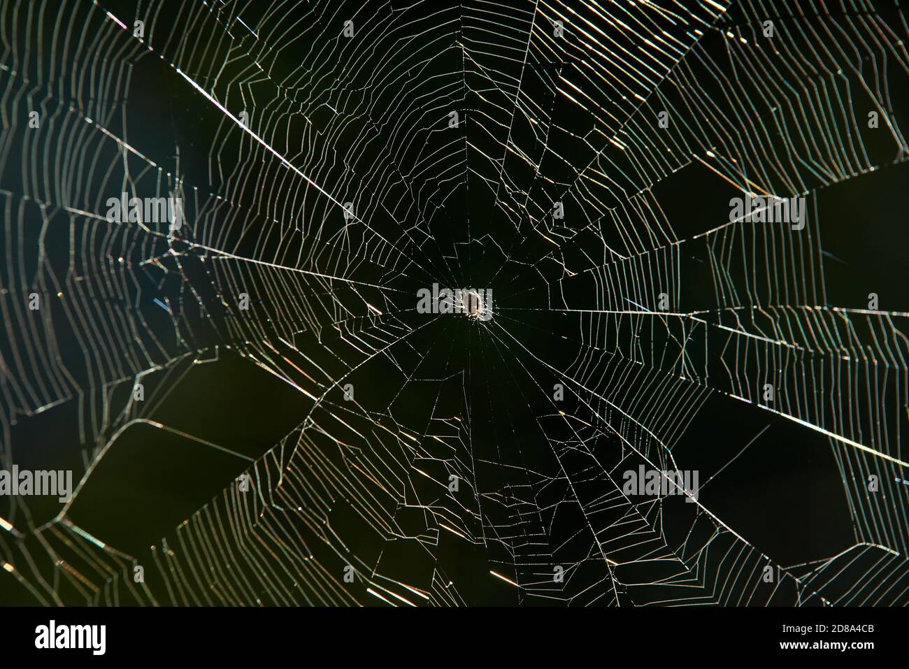 Spider web water design view hi-res stock photography and images - Alamy