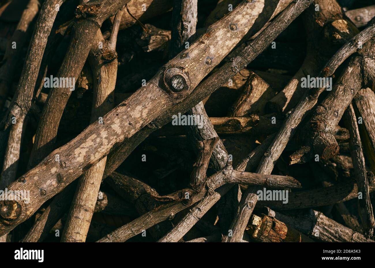 A closeup view of a firewood pile Stock Photo