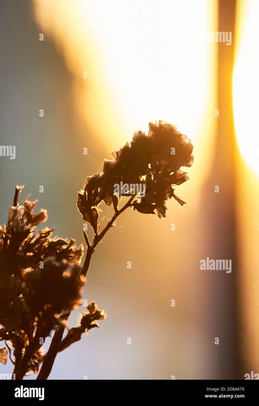 Warm front weather hires stock photography and images Alamy