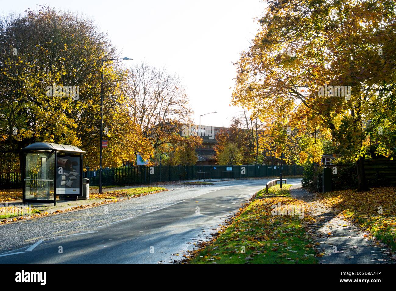 Woodloes Park Estate in autumn, Warwick, Warwickshire, England, UK