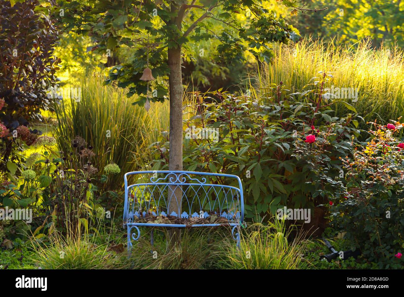 Northwind Ornamental Grasses and smoke trees backup this charming city garden which includes