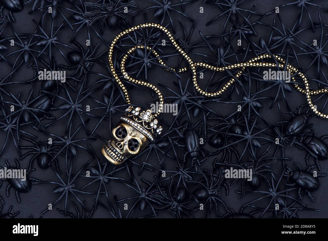 Spider and beetle with skull decoration. Black Halloween background Stock Photo