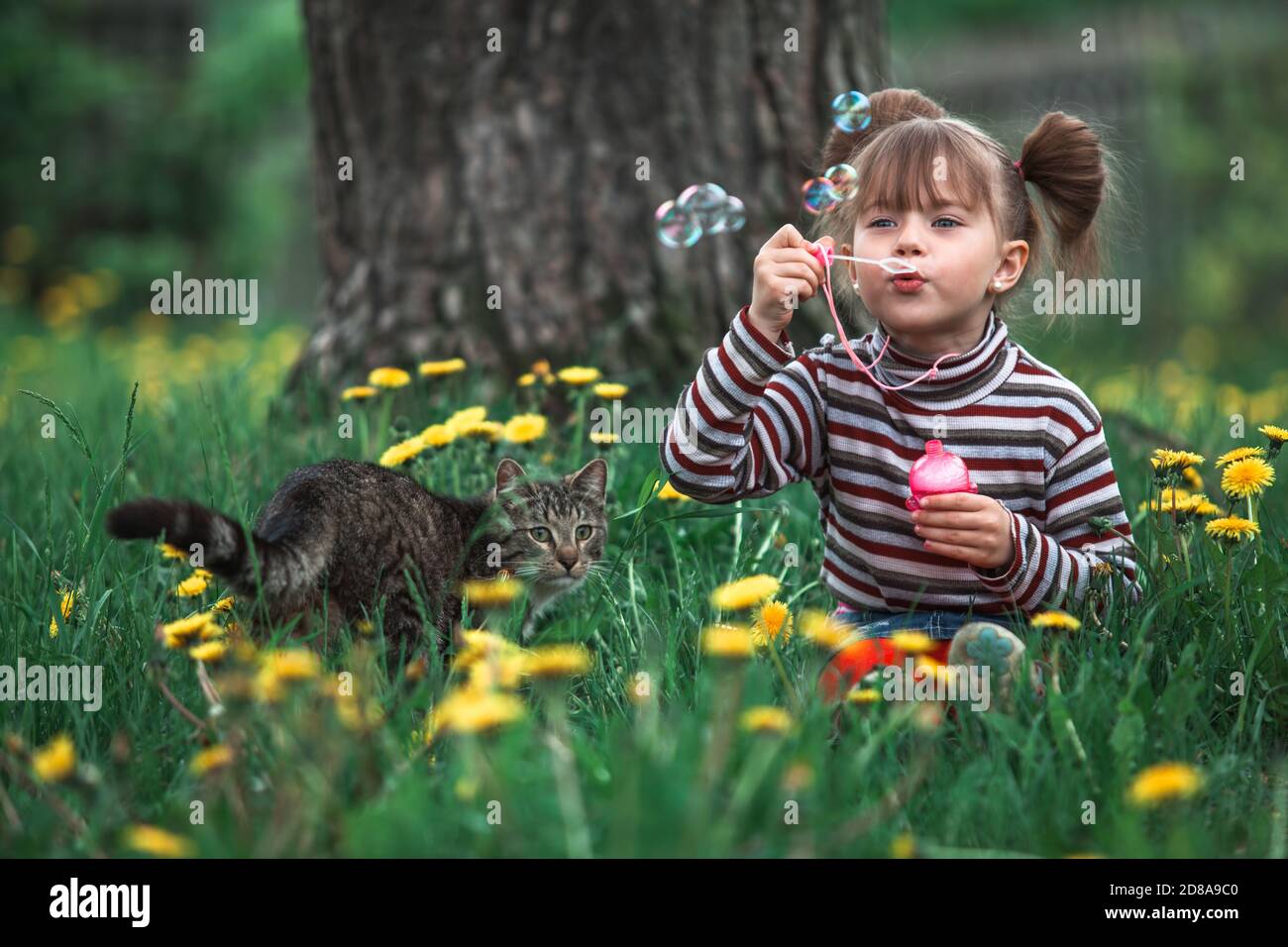 Cute girlie playing with a cat in the green grass Stock Photo - Alamy