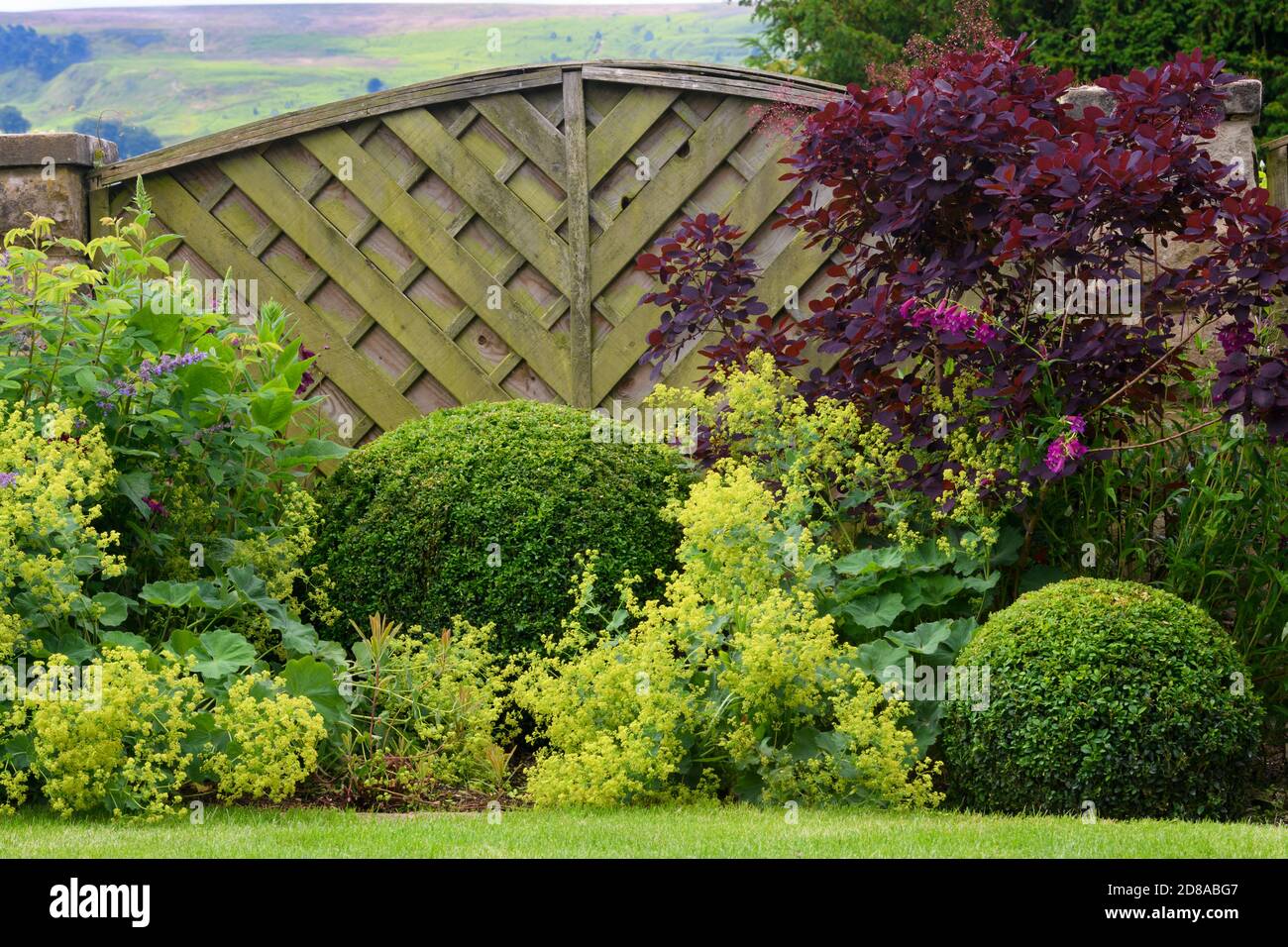 Landscaped private garden close-up (cottage design, summer flowers, mixed border plants, shrubs, colourful foliage, fencing) - Yorkshire, England, UK. Stock Photo