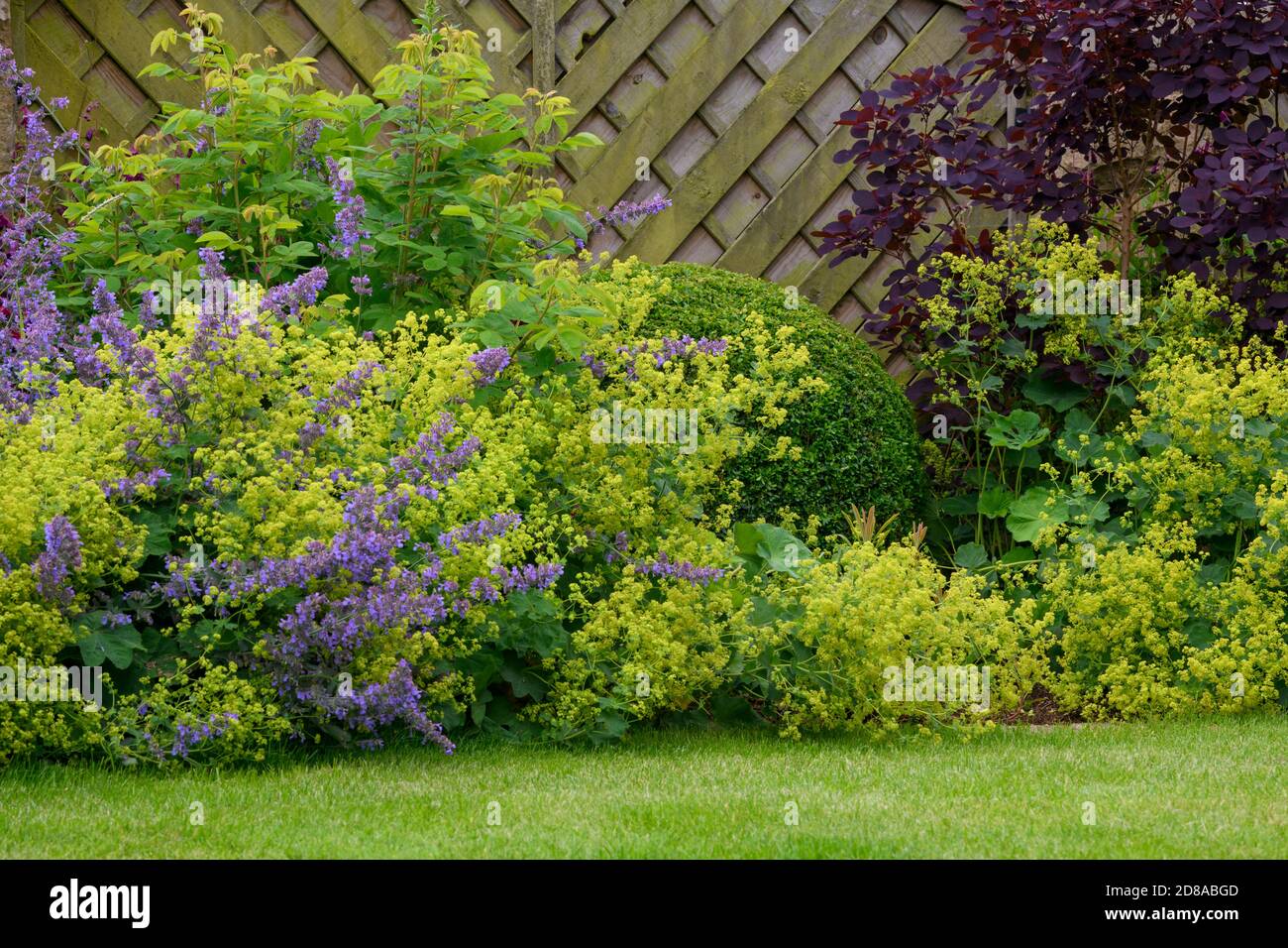 Landscaped private garden close-up (cottage design, summer flowers, mixed border plants, shrubs, colourful foliage, fence) - Yorkshire, England, UK. Stock Photo