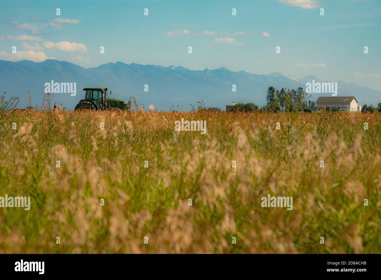 Green John Deer tractor tilling the land for farming in Kalispell