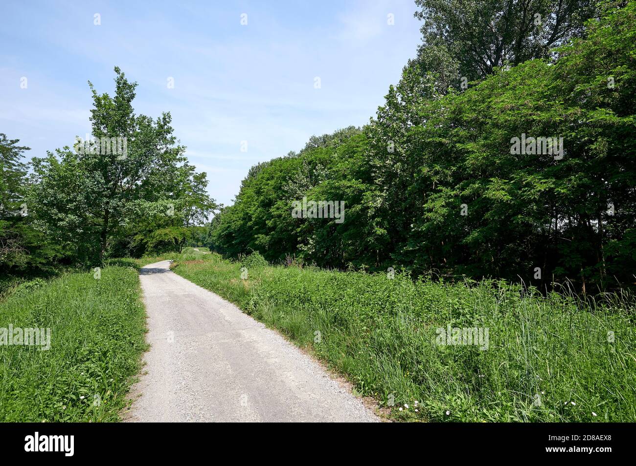 Mirabello Ciria  (Cr), Italy, the bycle path of the Civic Canal Stock Photo