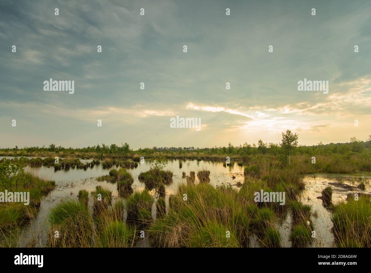 Scenic view of moor landscape in Lower Saxony. The Great Moor is part of the moorland between Barnsdorf and Vechta. Setting sun reflected in water. Stock Photo