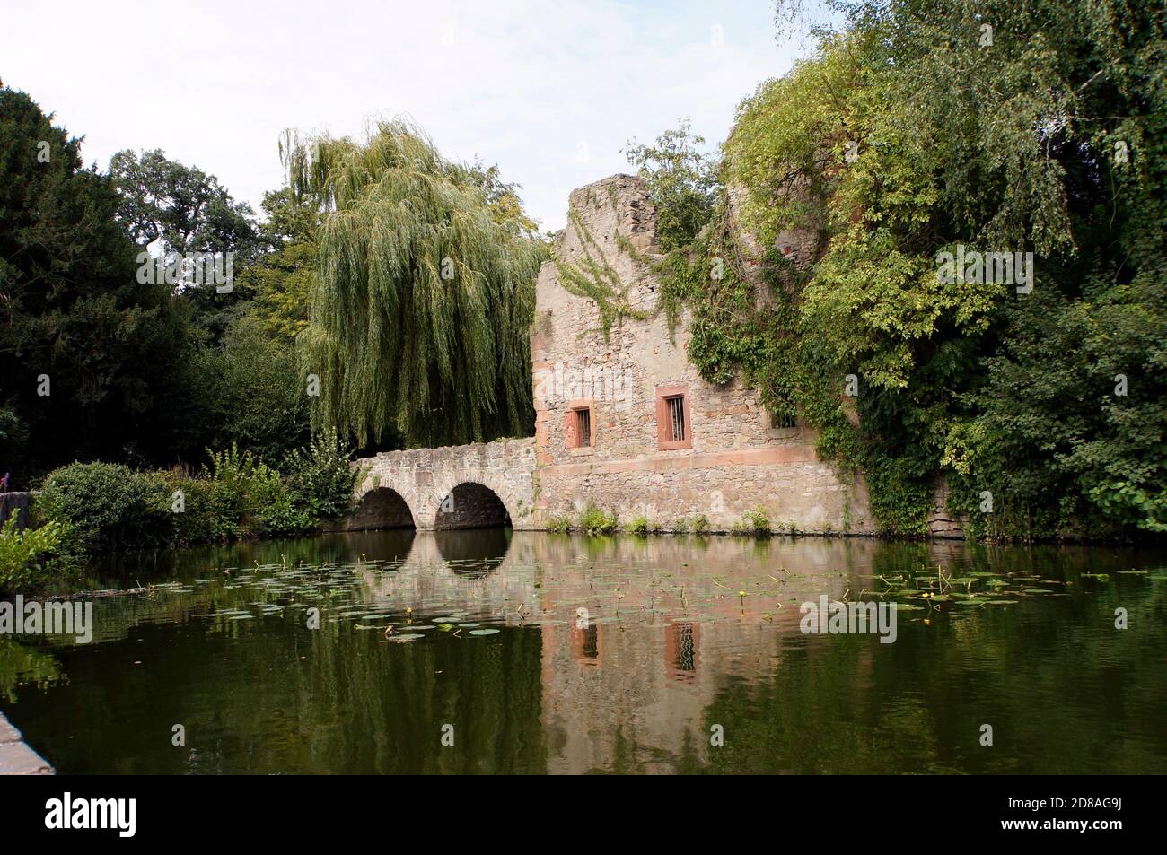 Klosterruine im SchöntalPark, Aschaffenburg, Bayern Deutschland Stock