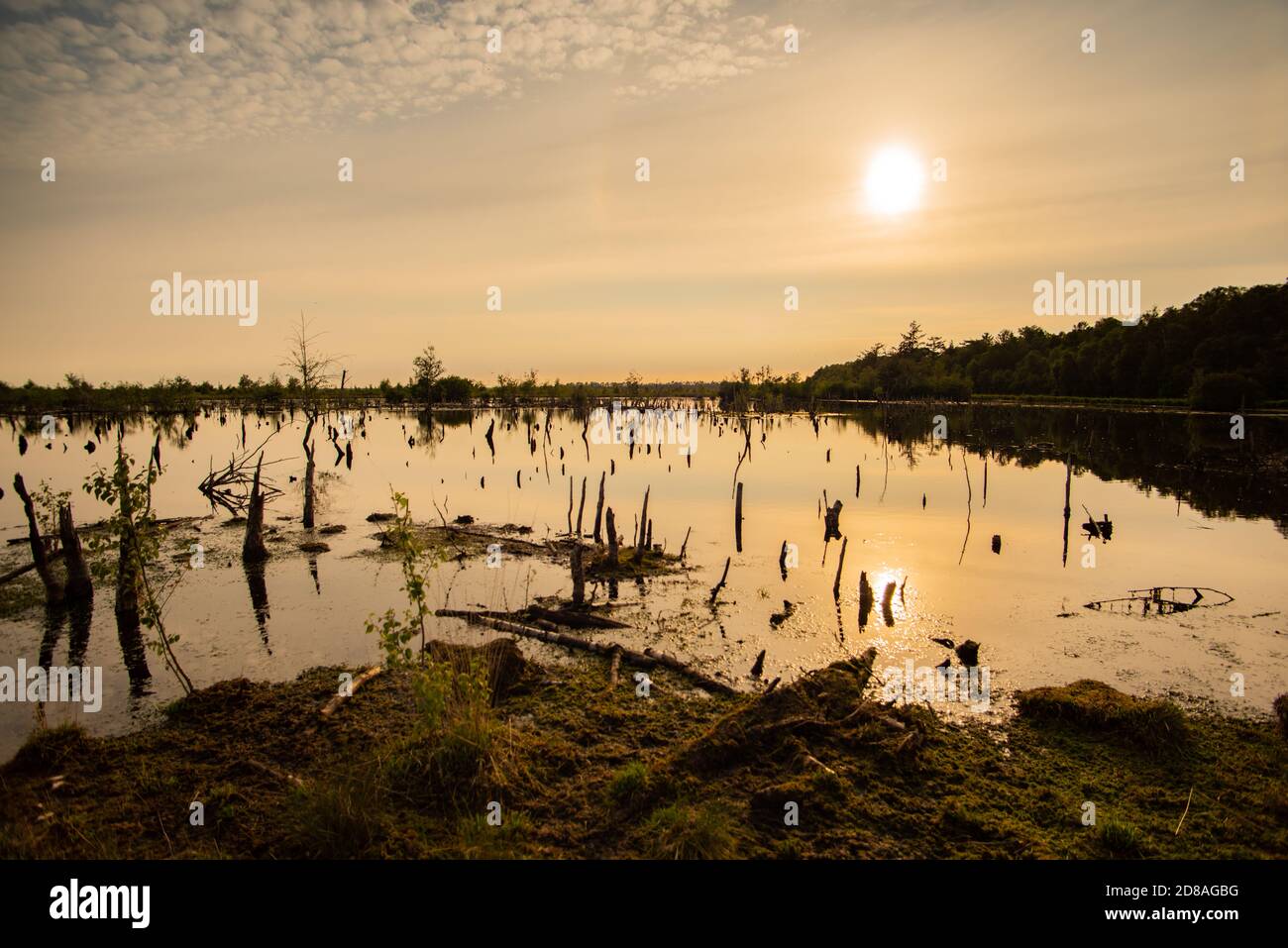 Scenic view of moor landscape in Lower Saxony. The Great Moor is part of the moorland between Barnsdorf and Vechta. Setting sun reflected in water. Stock Photo