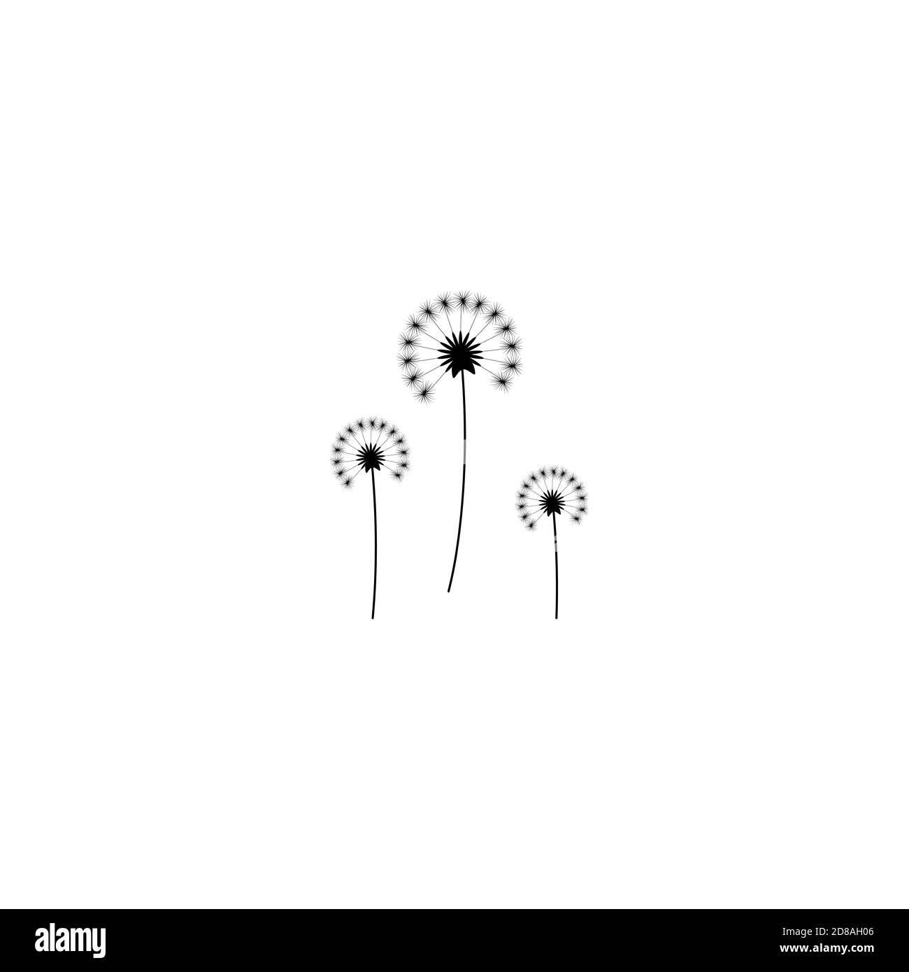 three dandelion flowers with curved sprig. Big bloom with big shabby petals. Isolated on white. Vector illustration. Eco style. Nature symbol. Stock Vector
