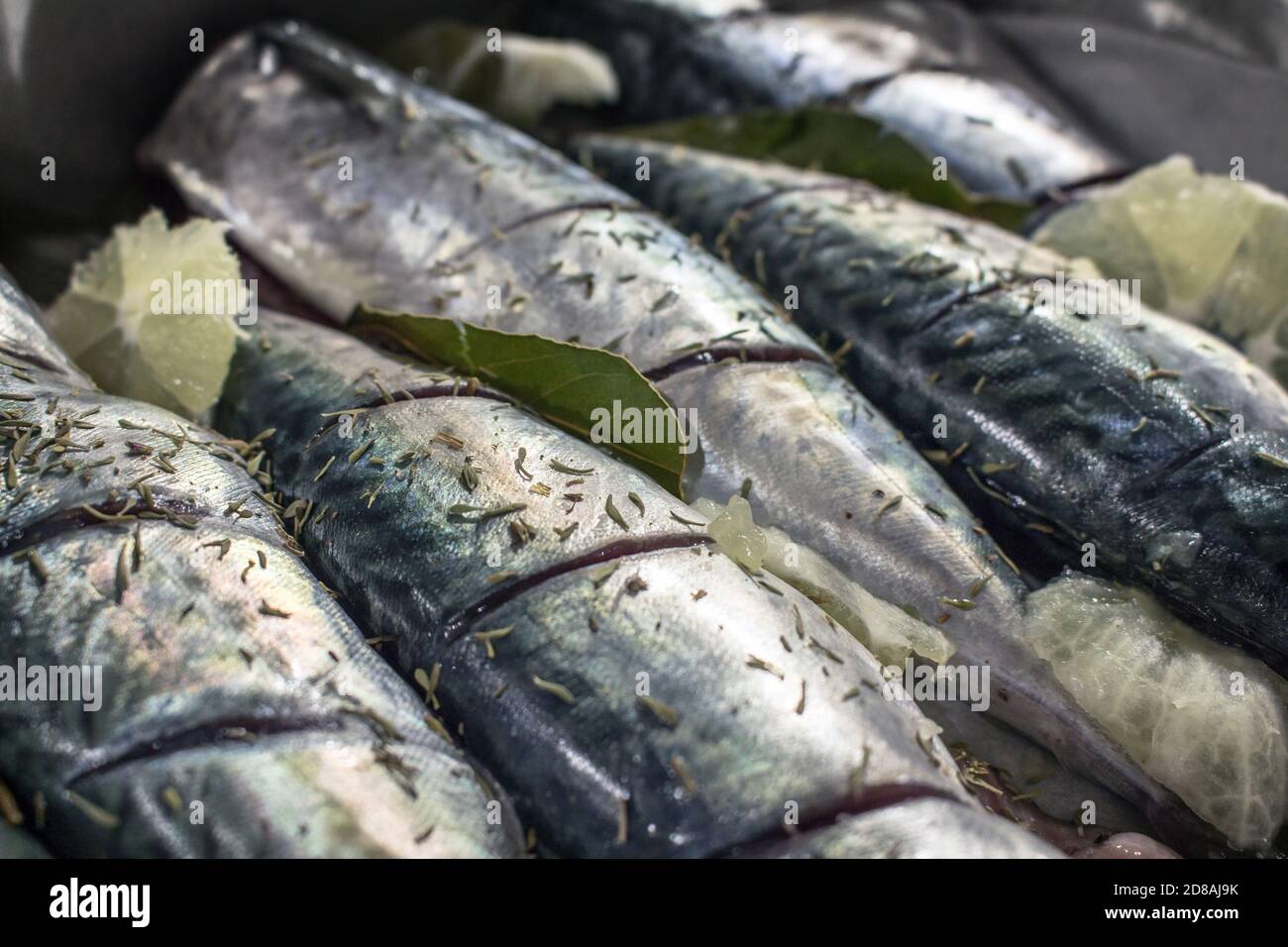 Pesce azzurro hi-res stock photography and images - Alamy