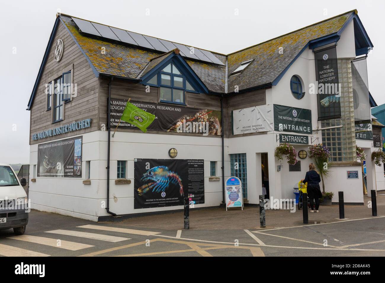 The National Lobster Hatchery Stock Photo Alamy