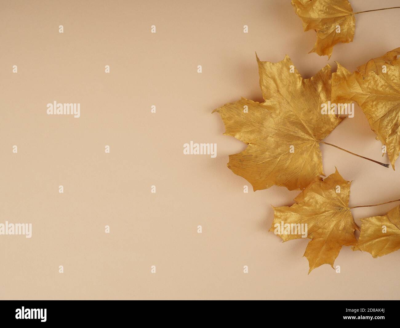 Flat lay creative autumn composition. Golden leaves on beige background top view copy space. Fall concept. Autumn background. Minimal concept idea, fl Stock Photo