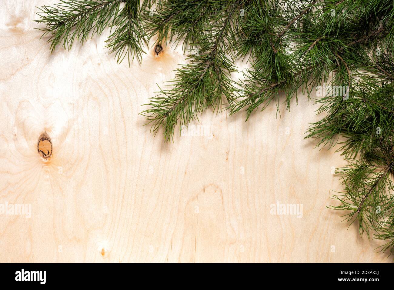 Pine tree border hi-res stock photography and images - Alamy