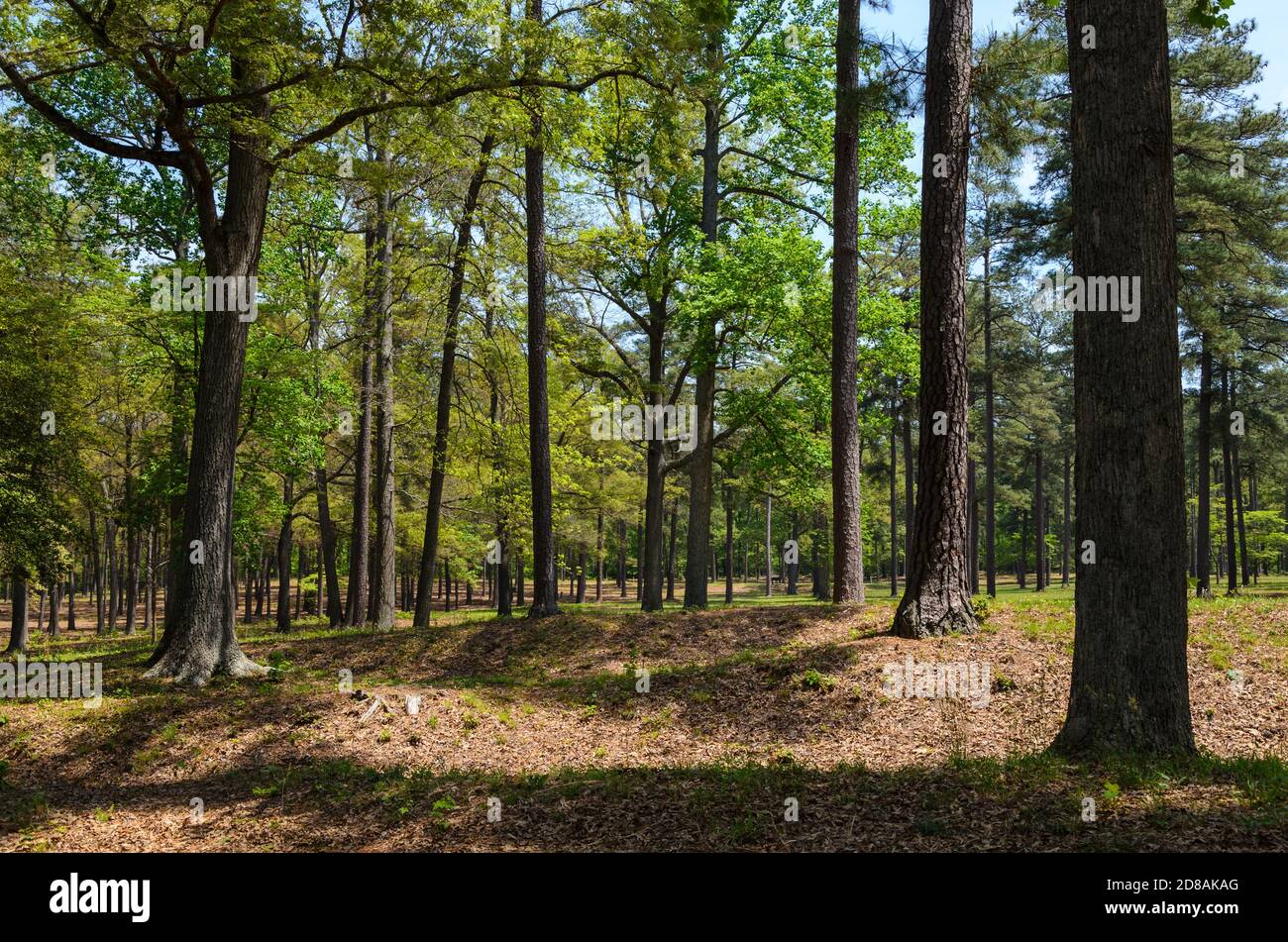 For Monroe National Monument Stock Photo - Alamy