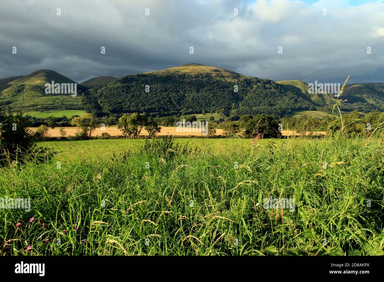View across to the Ochil Hills from Alloa, Stirling, Scotland, UK Stock Photo