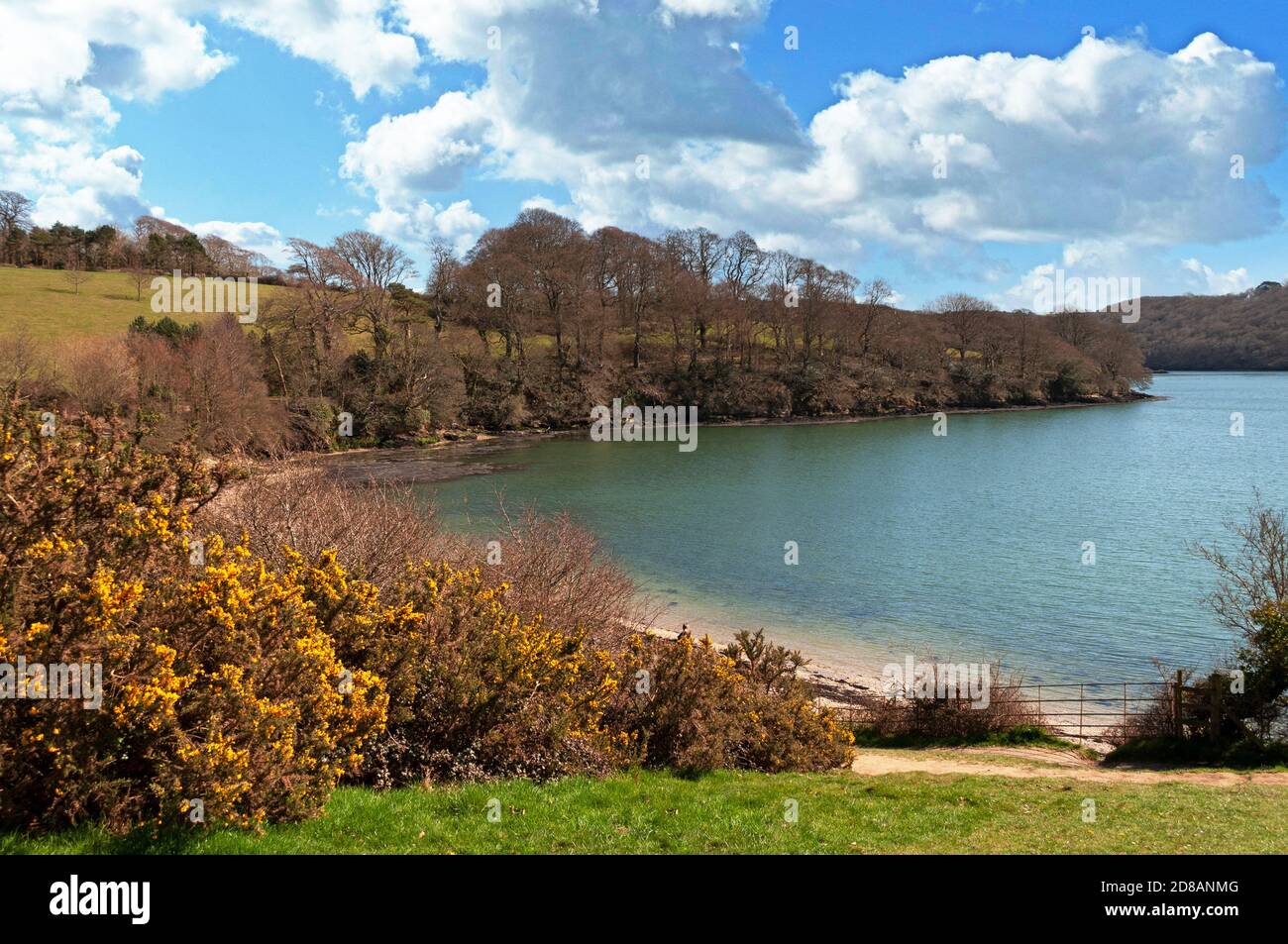 A quiet cove at trelissick on the helford river in cornwall, england Stock Photo