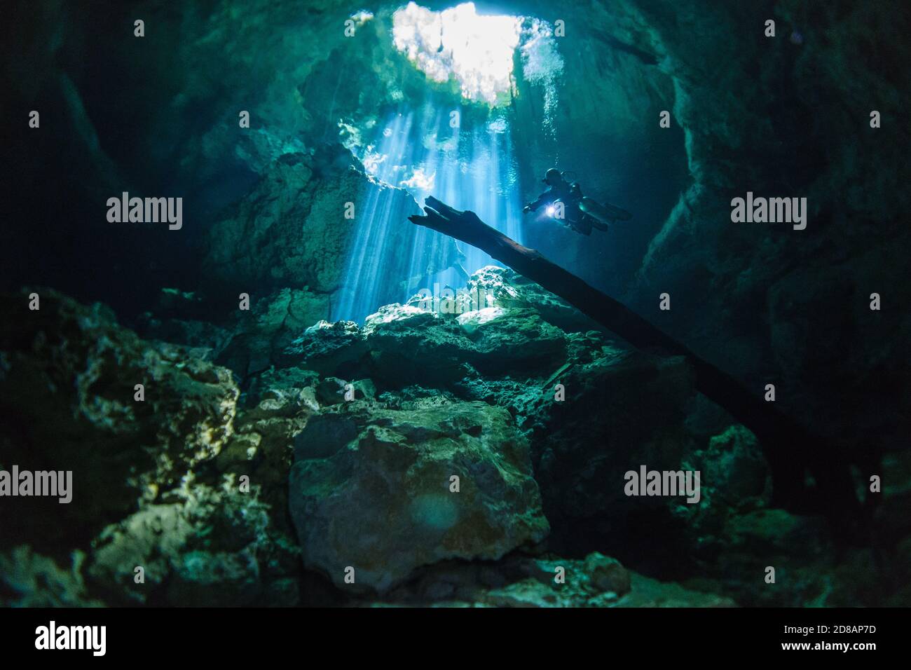 Cenote Scuba Diving in Riviera Maya, Mexico Stock Photo Alamy