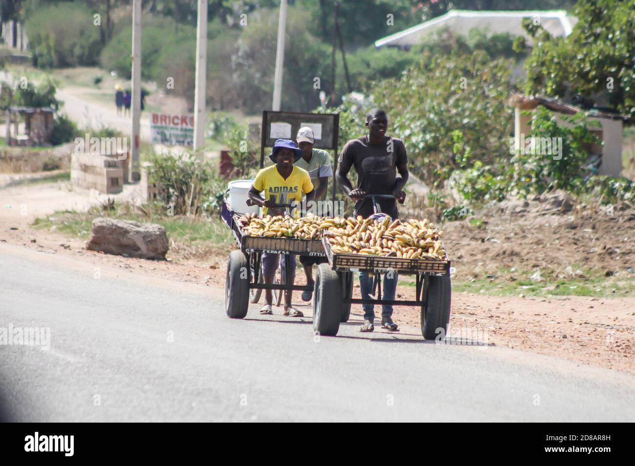 Banana vendors move towards Epworth area. Many Zimbabweans survive on