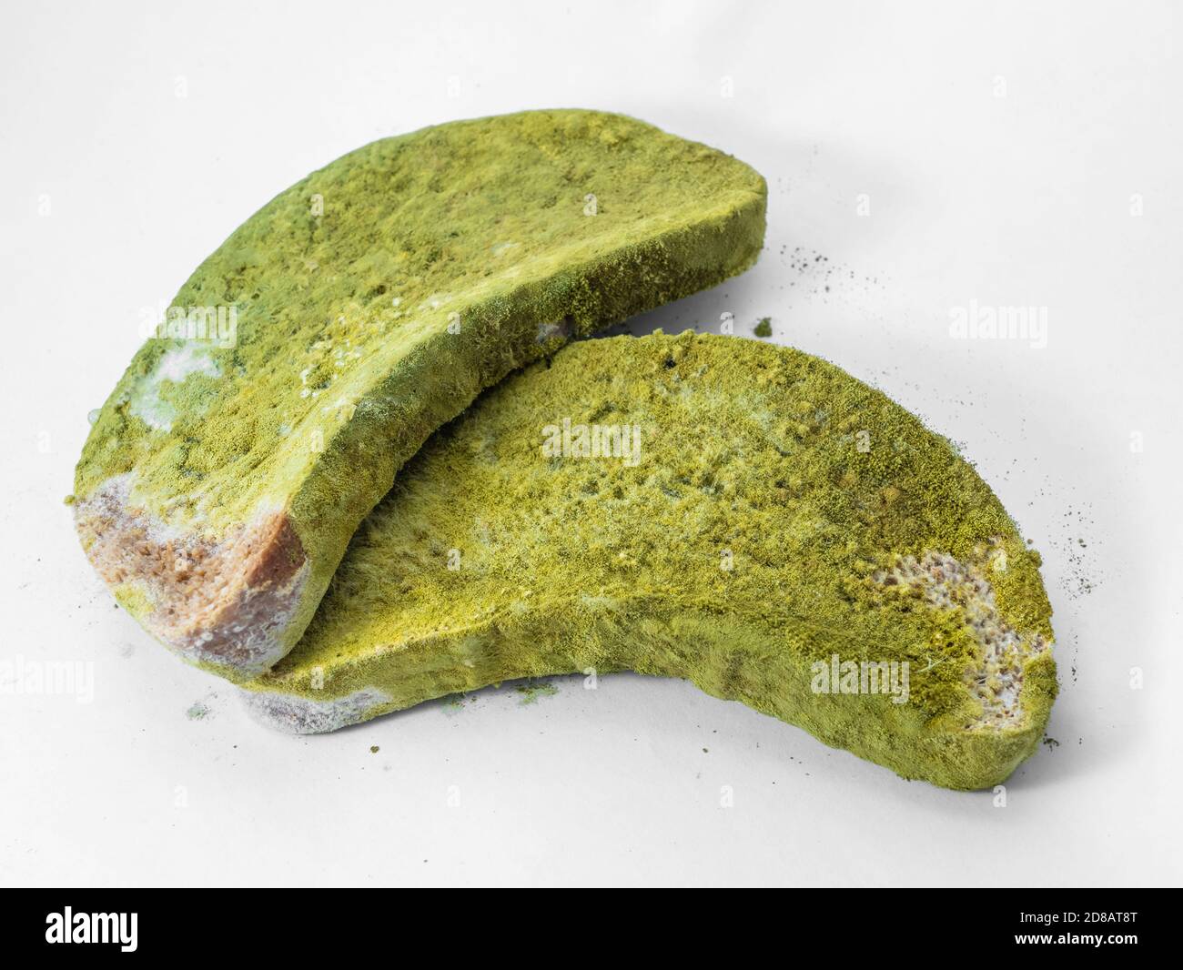 A piece of bread covered with green mold on a white background isolate. Stock Photo